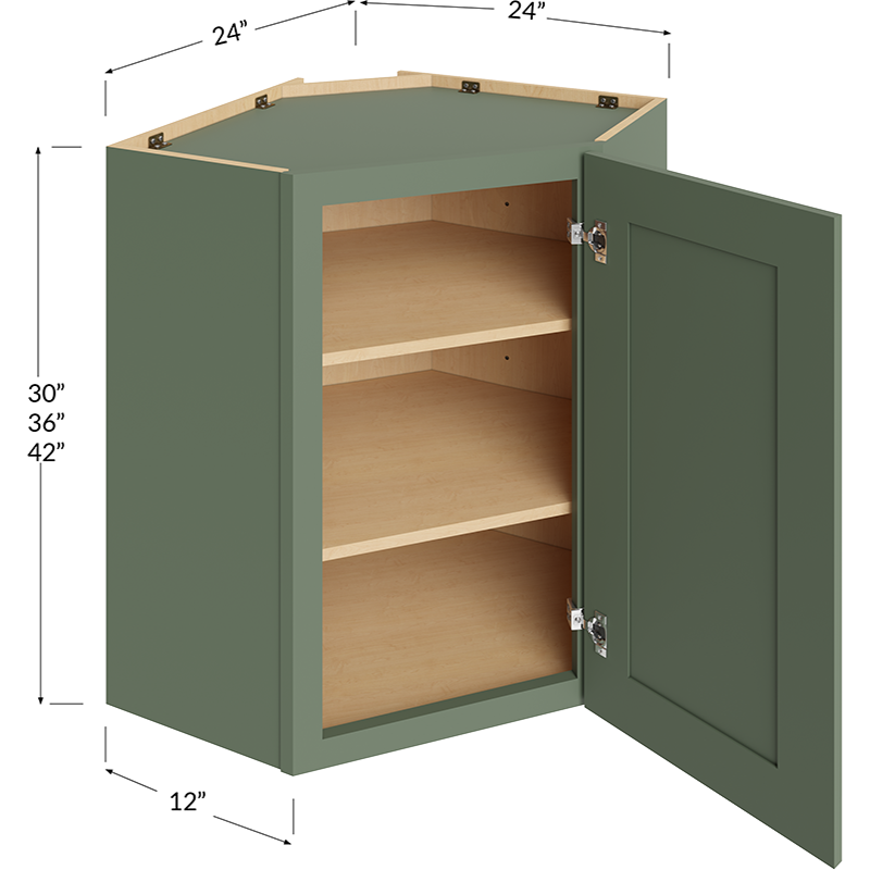 Wall Diagonal Corner Cabinet - 24W x 42H x 12D - 1 Door, 3 Shelves