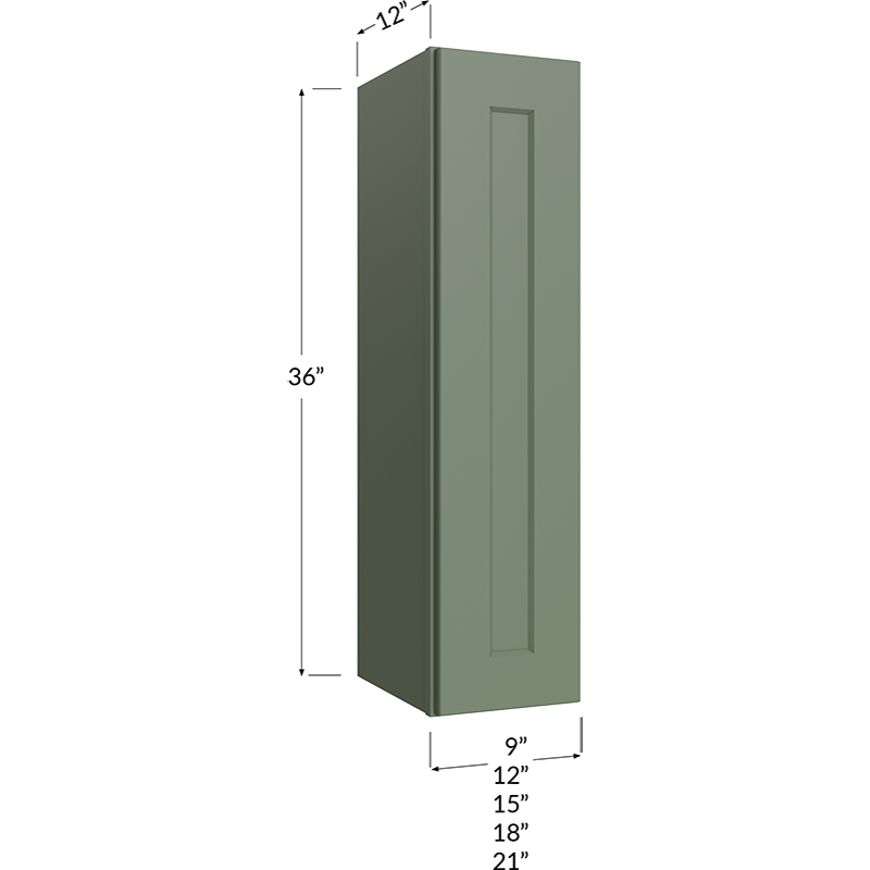 Wall Cabinet - 21W x 36H x 12D - 1 Door, 2 Shelves