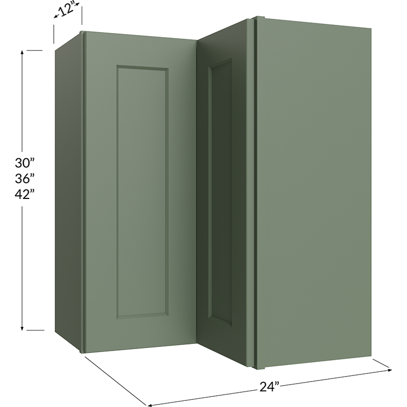 Wall Easy Reach Cabinet - 24W x 30H x 12D - 1 Door, 2 Shelves